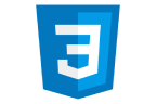 CSS Logo